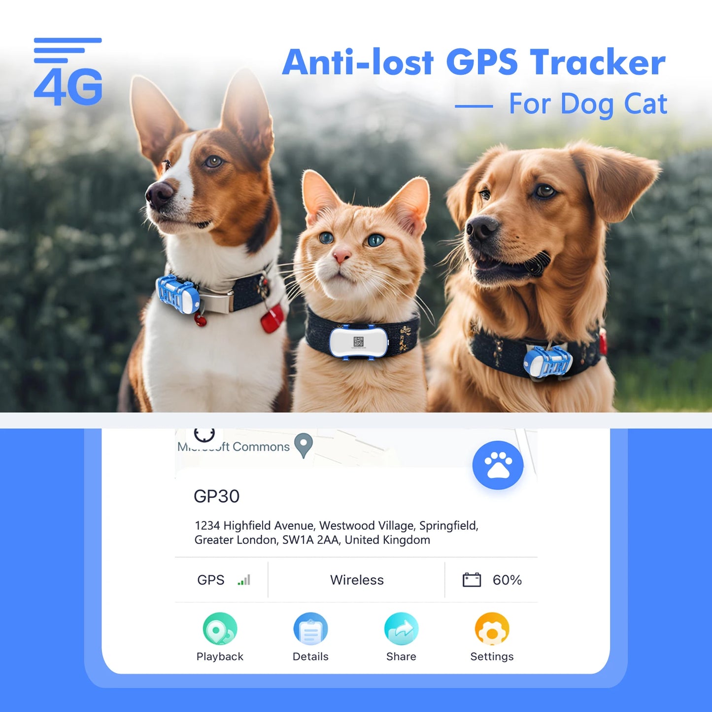 Dog & Cat Tracker